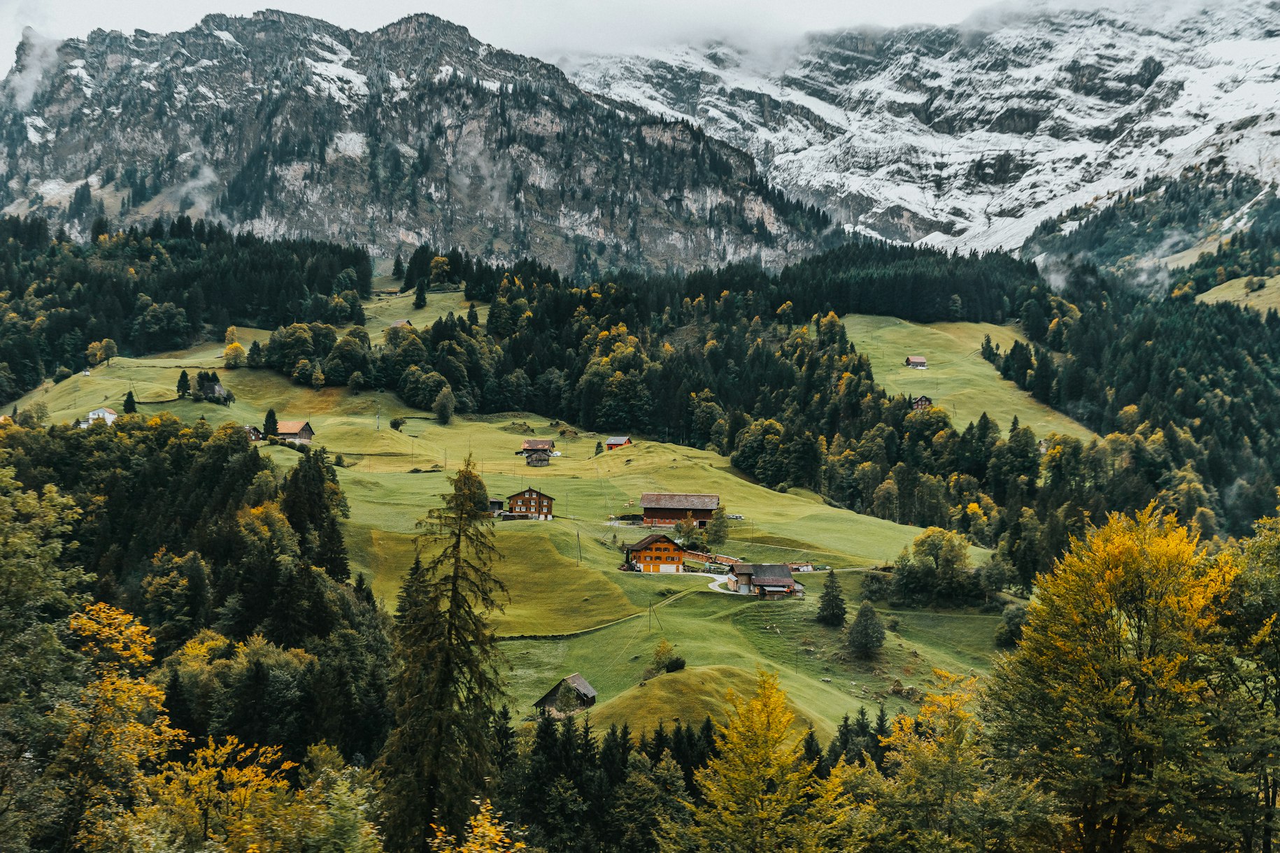 Swiss nature